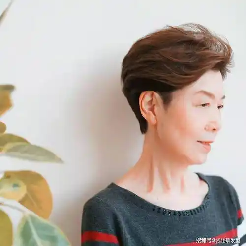 原创这才是老年人最好看的发型清爽干练显年轻优雅大气又有女人味