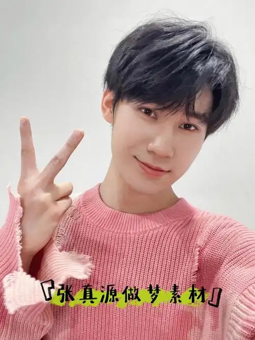 张真源你做梦素材