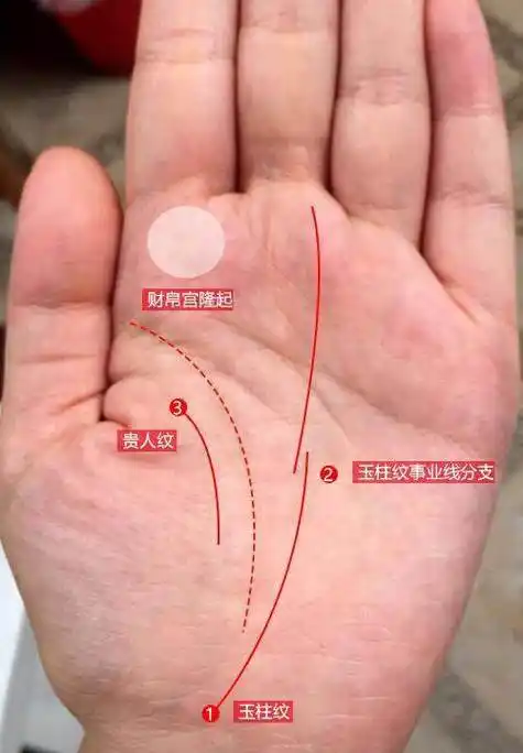 当大家想要测出自己的一生运势是如何发展的,一般通过手相就能够了解