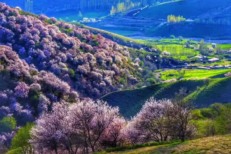 中华福寿山景区