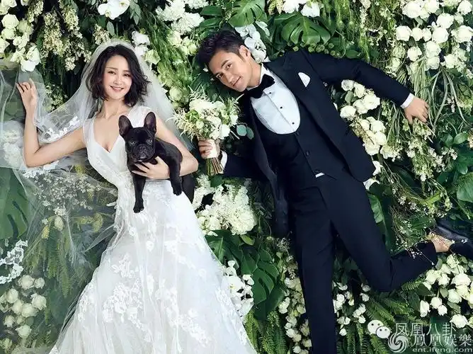 袁弘张歆艺今日大婚 被心疼的却是胡歌,cp都散了