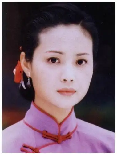1995年,与陈道明,赵恒煊,傅艺伟主演电视剧《胡雪岩》
