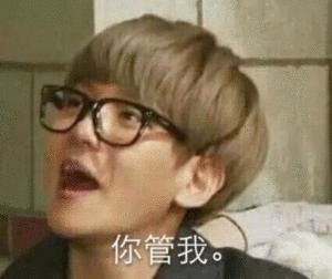 exo 边伯贤 表情包