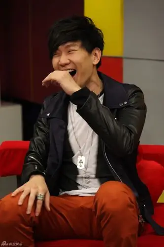 林俊杰做客新浪聊天 吐舌卖萌酒窝俏皮