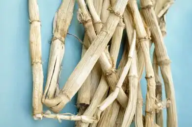 白茅根 茅根 茅草