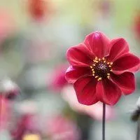 看着心情好的头像_微信头像图片大全