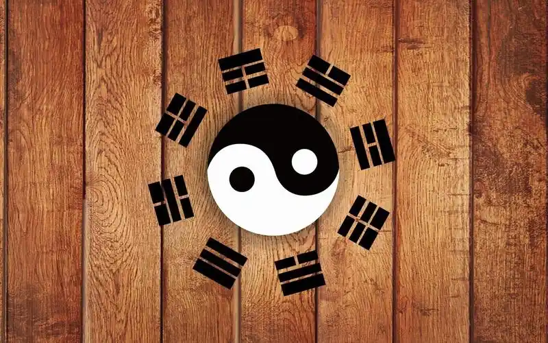 太极八卦图极速旋转 我看着会想吐····_哔哩哔哩 (゜-゜)つロ