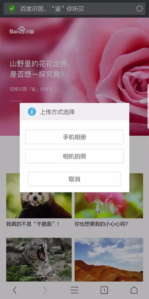 栏输入的进入扫图识别图片在线2在进入后点击页面搜索框中的相机按键