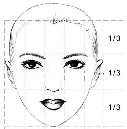 素描人体结构比例