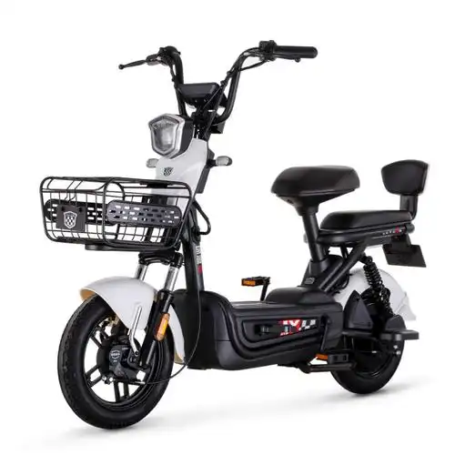 点评绿源电动自行车48v24ah口碑怎样真实曝光是品牌吗