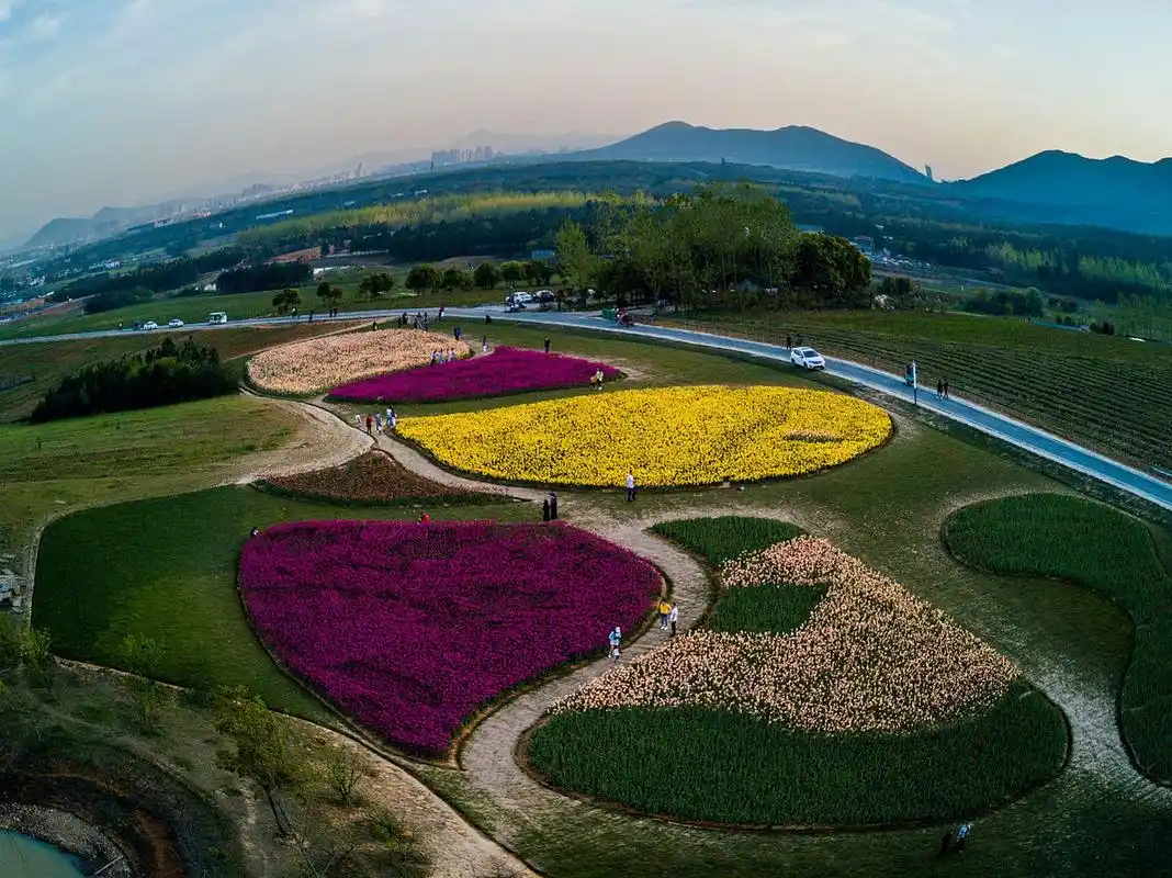 探寻江苏的自然之美,不妨前往宿迁三台山森林公园.
