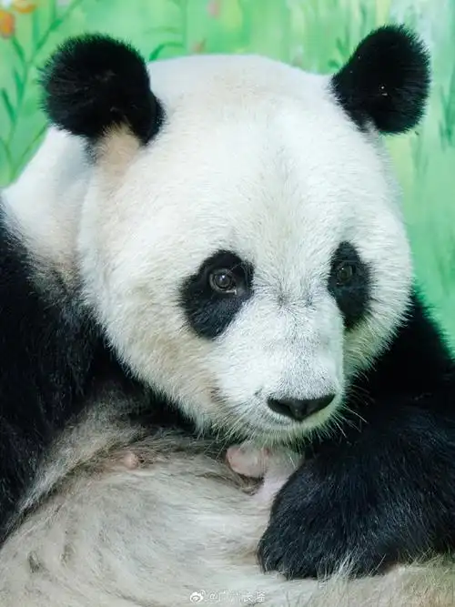 690_920竖版 竖屏