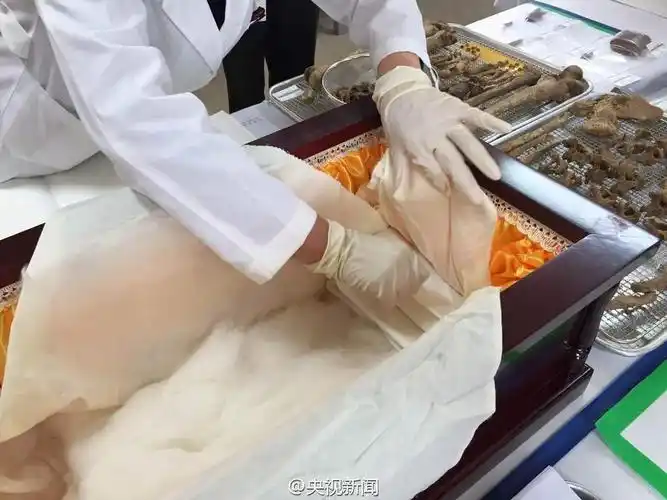 韩方人士整理烈士遗骸