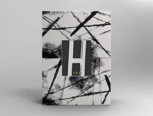 11 华晨宇全新专辑《h》封面曝光 画风黑白大气