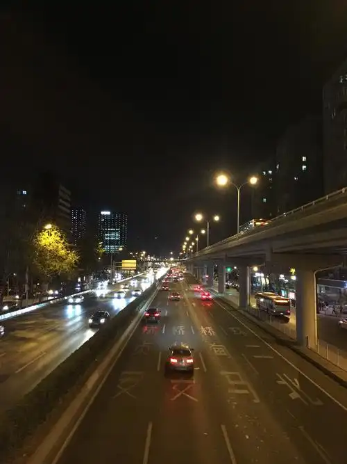 马路 夜色 路灯