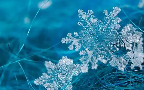 晶莹剔透的雪花唯美高清桌面壁纸