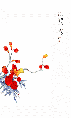 240_400竖版 竖屏gif 动态图 动图