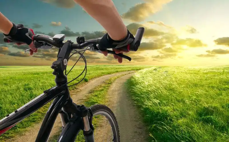 在公路上骑自行车的女骑手