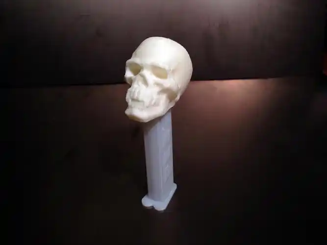 带尖牙的骷髅模型