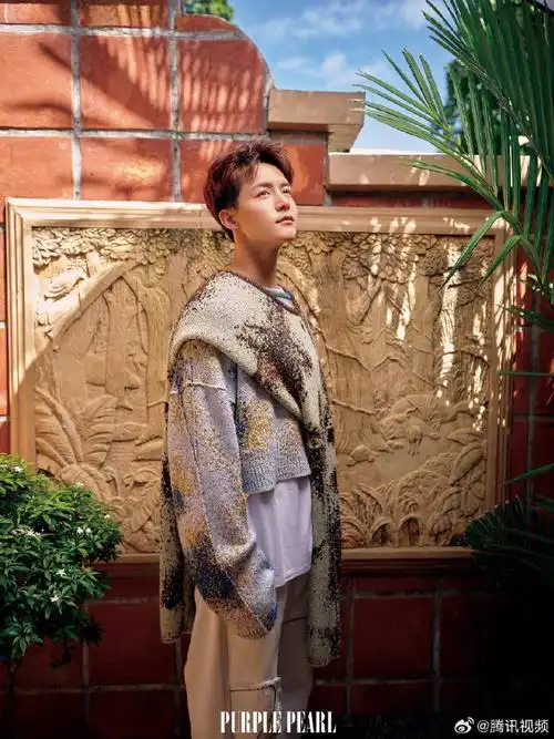 马天宇逃离都市计划#身着西装领带的@馬天宇在落日下临海远眺,期待