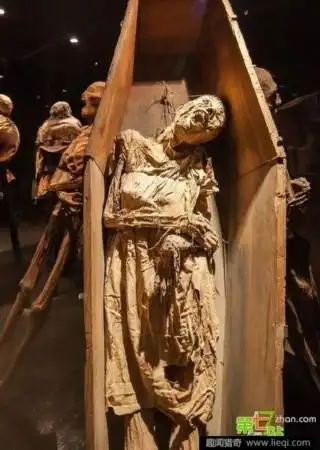 胆小慎入!神秘恐怖的干尸博物馆 干尸姿态蜷缩扭曲死前痛苦被定格