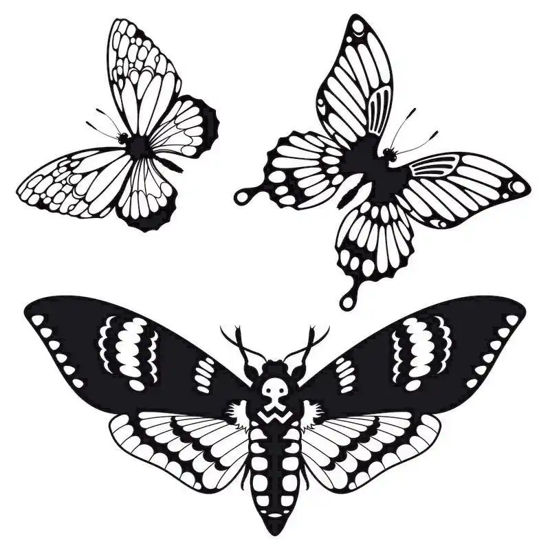 向量组的蝴蝶剪影,向量组的蝴蝶剪影为您的设计