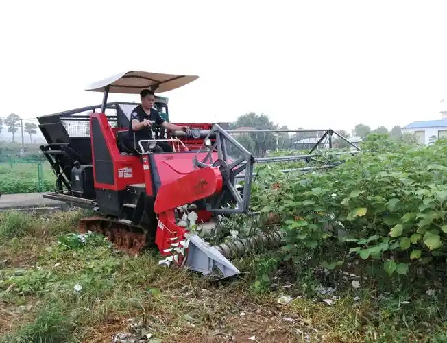 4qm40型第三代饲用苎麻联合收获机试验成功