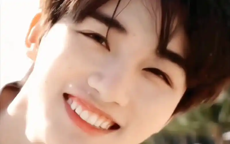 【丁程鑫】你浅浅的微笑就像 乌梅子酱