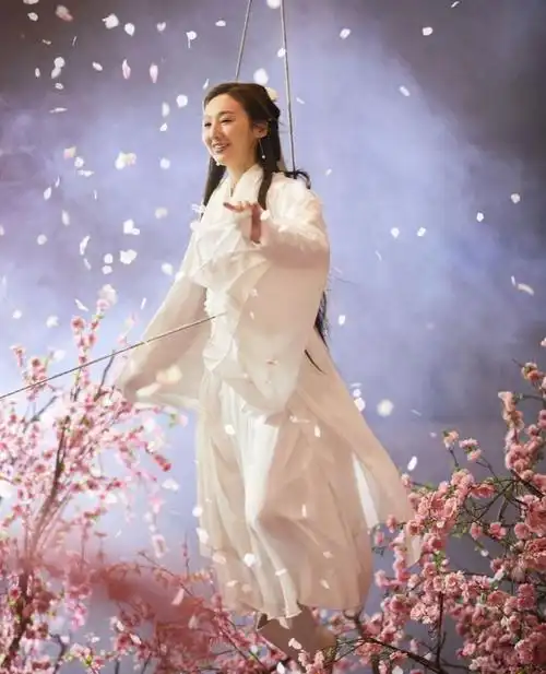 很欣赏内地女星杨紫!|高海宁|内地剧|古装剧|后宫甄嬛传_网易订阅