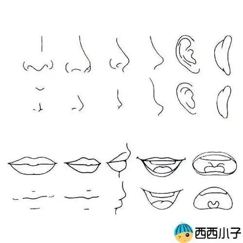 鼻子简笔画图片鼻子简笔画图片大全简单