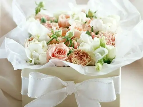 十二星座守护花