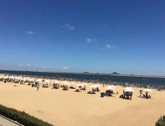 重返二十岁电视剧剧情_重返上海滩剧情_重返大福村剧情介绍