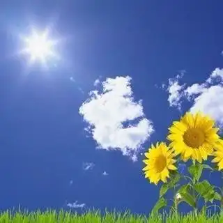 如何过幸福的人生