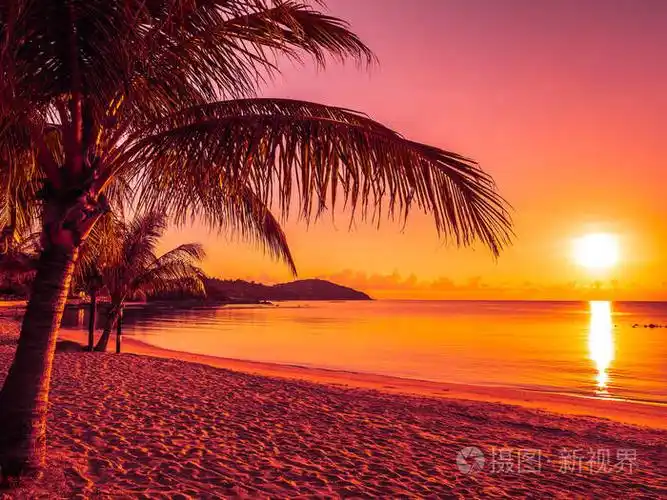 美丽的热带海滩海和海洋与椰子棕榈树在日出时间为旅行和假期