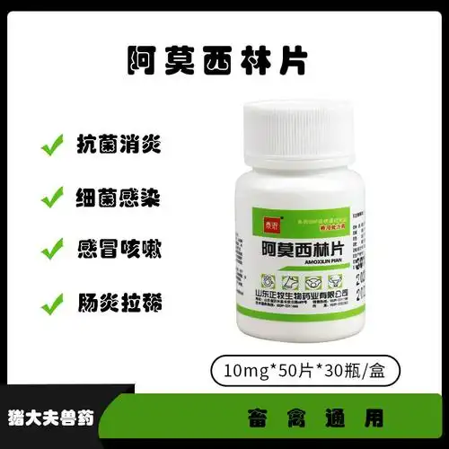 兽药阿莫西林片兽用宠物猫狗犬通用鸡药鸽子鸟抗菌药50片30瓶/1盒
