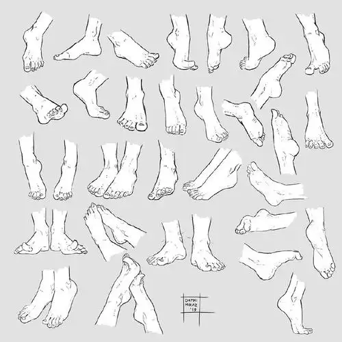 一组关于脚的绘画参考