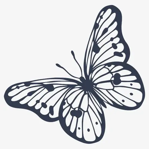 手绘插画装饰图案元素春天花花小蝴蝶