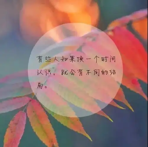 美好句子说说心情短语美好的句子经典语句