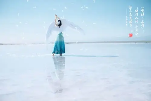 古风羽翼美女纯美高清写真壁纸