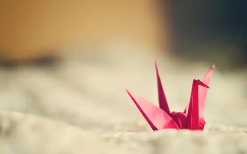 千纸鹤寄托了最美的思念,即使我知道了结局,我依旧无法走出