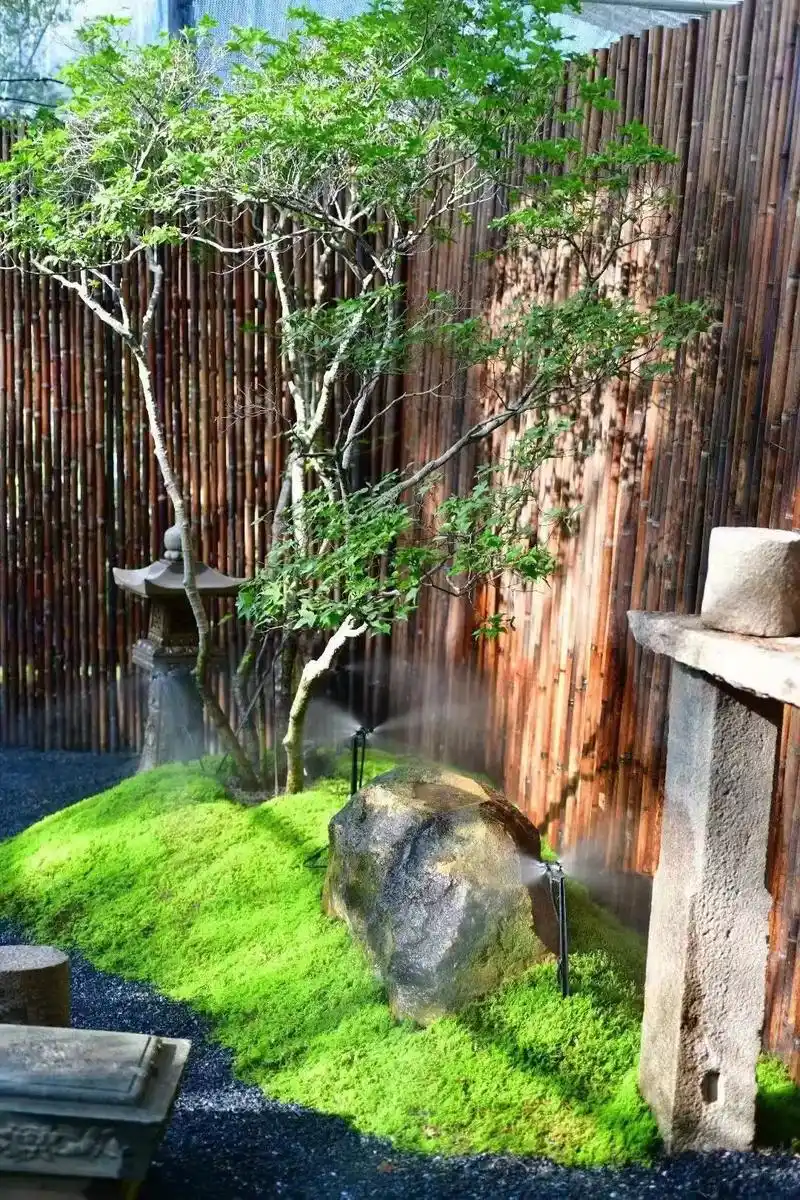 庭院阳台露台景观绿化设计造景施工改造