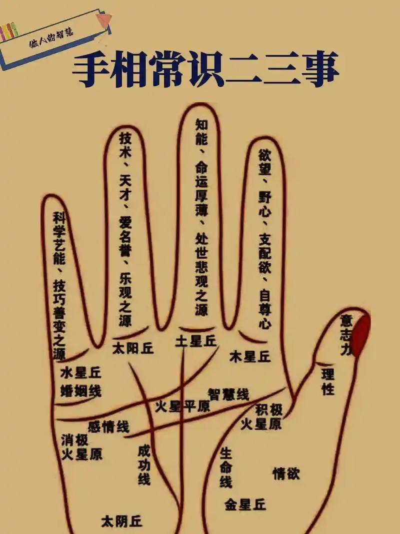 手相,您对它了解多少呢?这个问题常常让人束手无 - 抖音