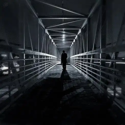 令人绝望的孤独鈥︹