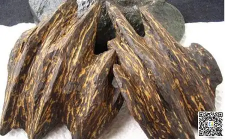 世界上最贵木头 比黄金贵几十倍?_木业资讯-木材网