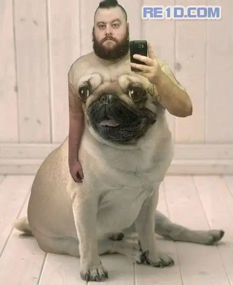 搞笑图片,你能撑到几个?