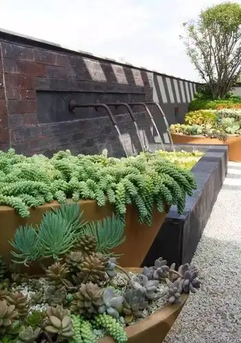 如果我有了钱,一定建一个这样的多肉庭院!-搜狐