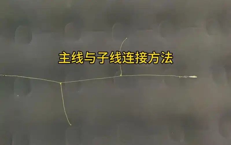 钓鱼主线与子线的连接,串钩t字结绑法分享,建议收藏!