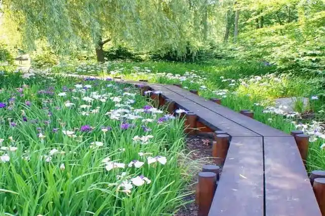 梁鸿国家湿地公园"鸢尾花园"建成开放