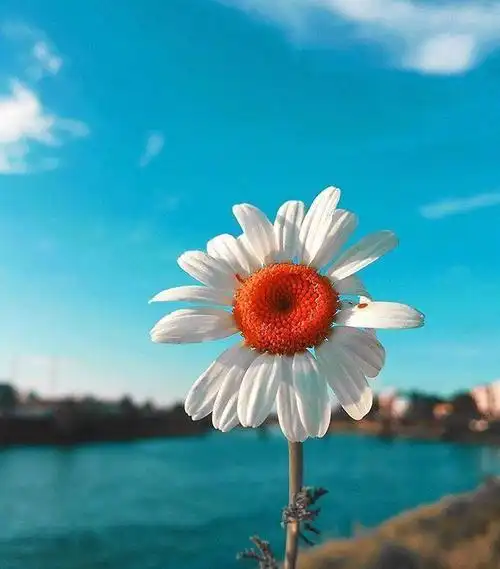 适合发朋友圈的正能量句子,阳光向上,很燃很励志!