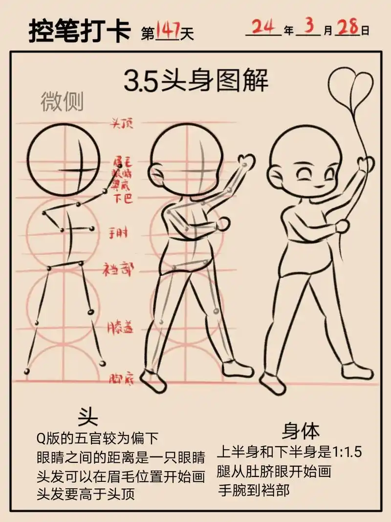5头身半侧教程147.零基础学画画 ~q - 抖音